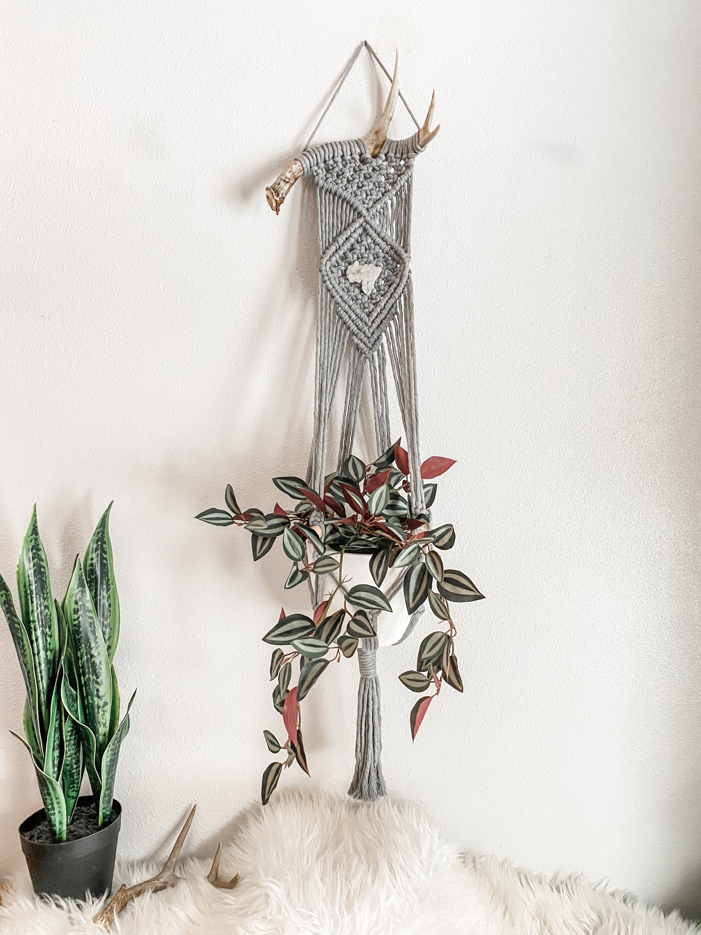 Antler Plant Hanger • Spirit quartz