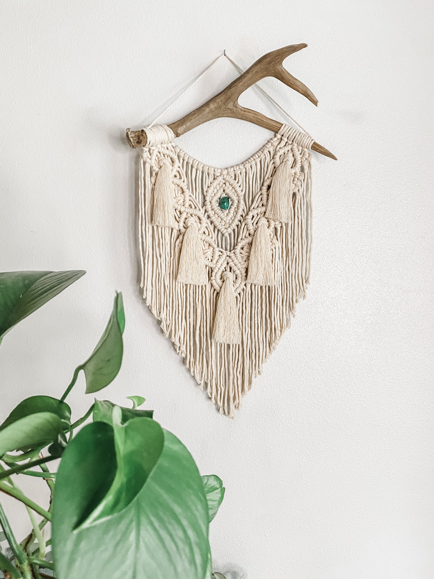 •Sale• Antler wall hanging • chrysocolla