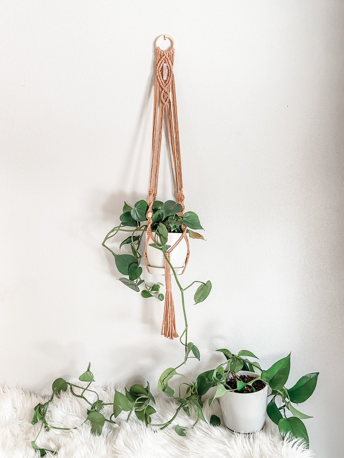 Crystal Plant Hangers